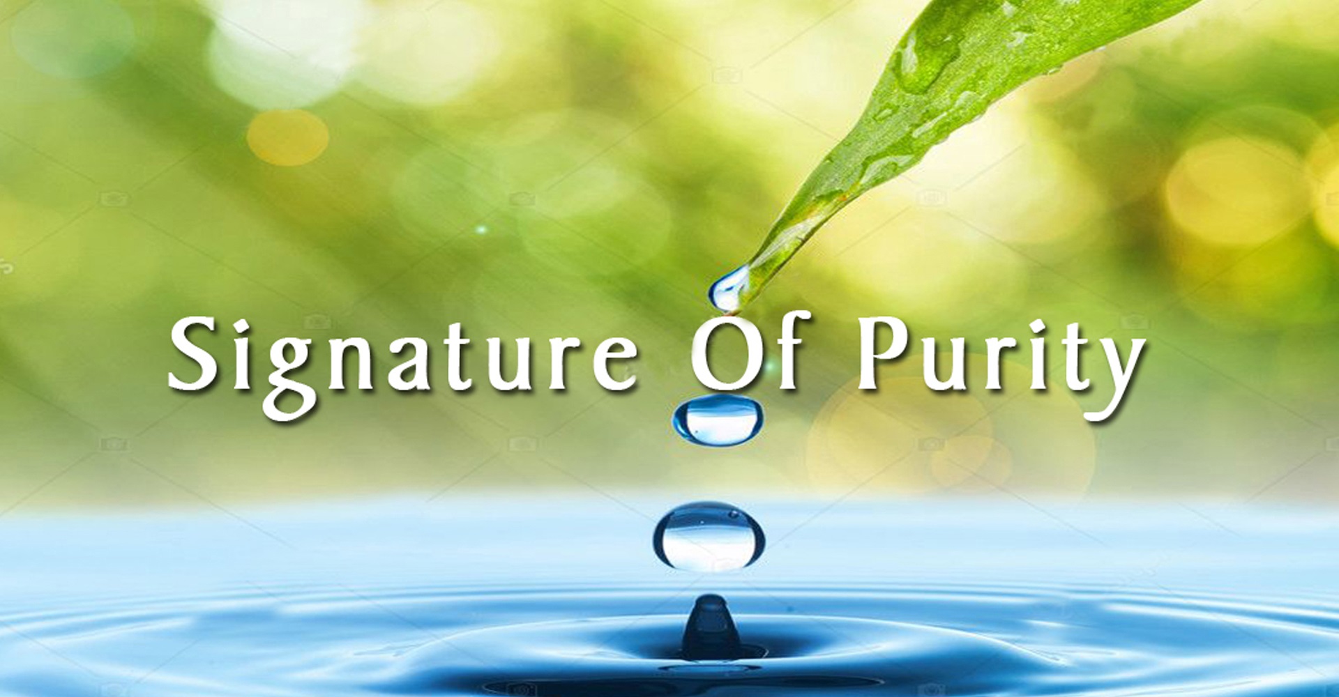 Technical Solutions img